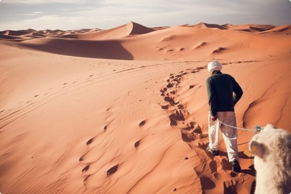4-Day Tour: Zagora & Merzouga